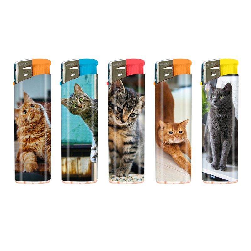 Piezo Lighter Cats DP/50